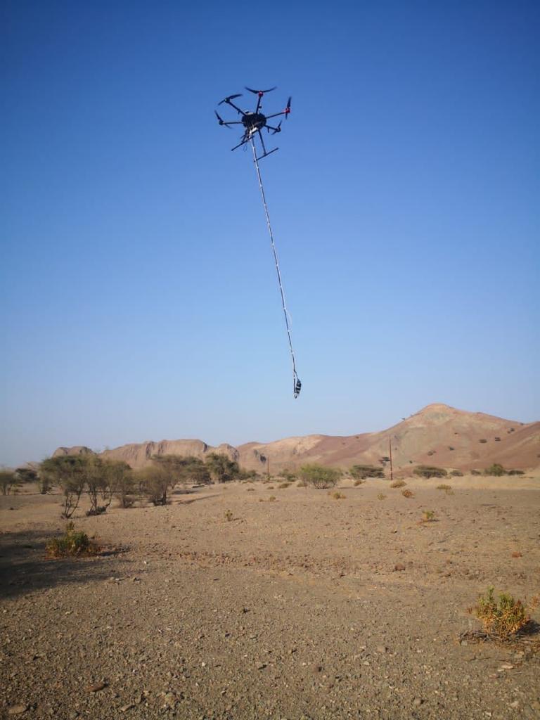 Geophysical Surveys